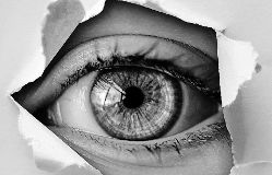 Kurse, die Sie sich in dieser Sitzung angesehen haben ... Kurse, die Sie sich in dieser Sitzung angesehen haben.